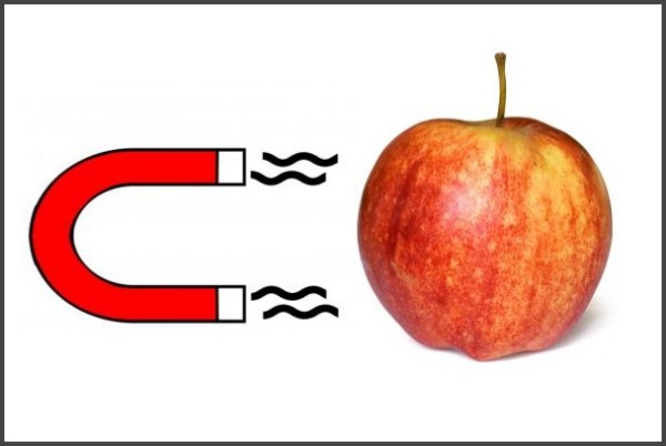 Magnetické otazníky 3. Je jablko přitahováno magnetem?