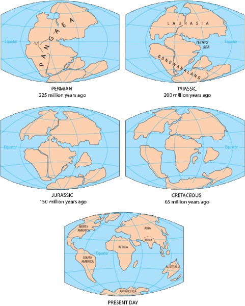 Paleogeografické mapy kontinentů.